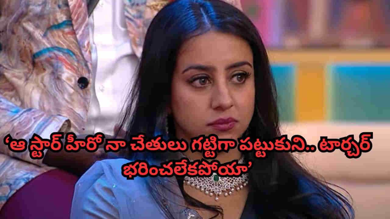 Bigg Boss Telugu 9: షూటింగ్‌లో ఆ స్టార్ హీరో నా చేతులు గట్టిగా పట్టుకుని.. బిగ్‌బాస్ సంజన షాకింగ్ కామెంట్స్