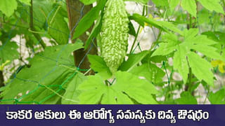 సూర్య నమస్కారాలతో ఇన్ని లాభాలా..? మహిళలకు రెట్టింపు ప్రయోజనాలు..