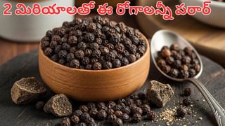 Japanese Secrets: ఆరోగ్యం, ఆనందం కోసం జపనీస్ ఫాలో అయ్యే హ్యాబిట్స్‌ ఇవే..