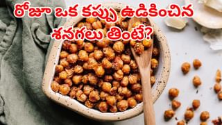 Indian Food: ప్రపంచాన్ని కట్టిపడేసిన ఇండియన్ వంటకాలు.. బిర్యానీకి ఎన్నో ర్యాంకంటే?