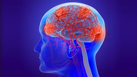 ఈ రెండు బ్లడ్‌ గ్రూపుల వారి బ్రెయిన్‌ బాగా పనిచేస్తుంది?