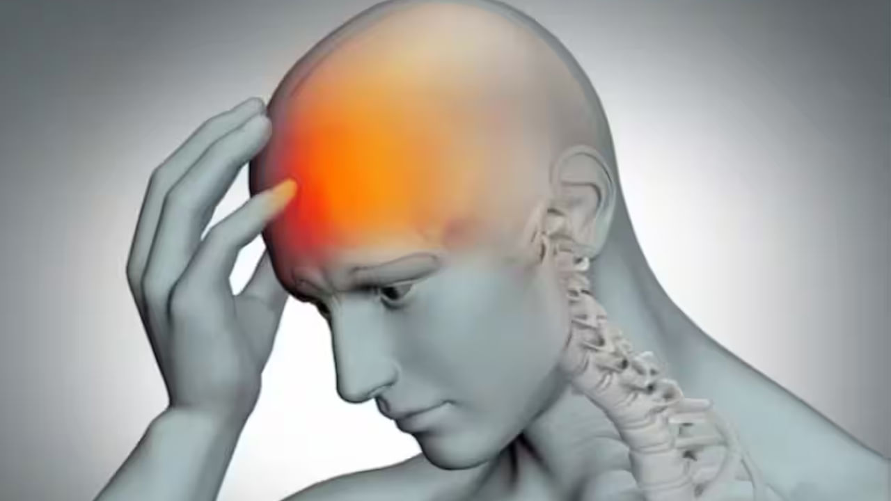 అదే విధంగా చాలా మంది చలికాలంలో శారీరక శ్రమ తగ్గిస్తారు, ఆహారం విషయంలో మార్పులు చేయడం, మద్యం సేవించడం, జీవన శైలిలో వచ్చే తేడాల వలన ఈ ప్రమాదం అనేది విపరీతంగా పెరుగుతుందంట. ముఖ్యంగా అధిక ఒత్తిడి అనేది బ్రెయిన్ స్ట్రోక్ ప్రమాదాన్ని తీవ్రతరం చేస్తుందని వారు నొక్కి చెబుతున్నారు.