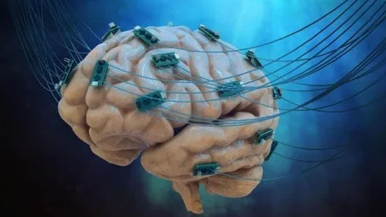 బి పాజిటివ్ బ్లడ్ గ్రూప్ - బి పాజిటివ్ బ్లడ్ గ్రూప్ ఉన్నవారికి పెరిటోనియల్, టెంపోరల్ లోబ్స్ ఎక్కువ చురుగ్గా ఉంటాయి. ఇది మెదడులోని ఈ భాగం సమాచారాన్ని ఆలోచించడం, అర్థం చేసుకోవడం, ప్రాసెస్ చేయడంలో సహాయపడుతుంది. దీని కారణంగా అలాంటి వ్యక్తులు ఇతరులకన్నా బాగా ఆలోచించే, నిర్ణయం తీసుకునే సామర్థ్యాలను కలిగి ఉంటారు.