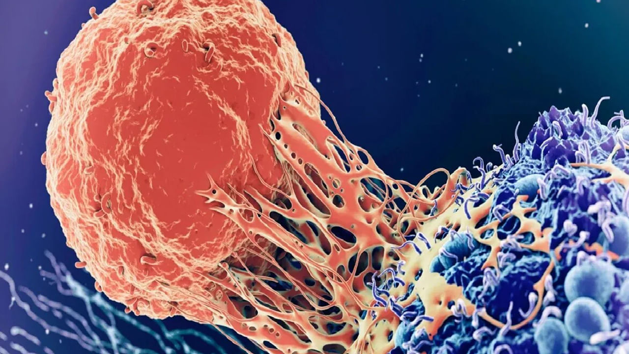 ప్రస్తుతం క్యాన్సర్ కేసులు అనేవి విపరీతంగా పెరిగిపోతున్నాయి. చిన్న పిల్లల నుంచి పెద్ద వారి వరకు చాలా మంది క్యాన్సర్ బారిన పడుతున్నారు. అయితే ఈ మధ్య కాలంలో చాలా మంది కడుపు క్యాన్సర్ బారిపడుతున్నారు. కాగా, దీని ప్రారంభ లక్షణాలు ఏవో ఇప్పుడు చూసేద్దాం.