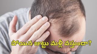 Natural Hair Care: జుట్టుకు శీకాకాయ్, కుంకుడుకాయ కలిపి వాడుతున్నారా?.. జరిగేది ఇదే