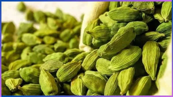 Health Tips: రాత్రి భోజనం తర్వాత ఈ చిన్న పని చేస్తే.. 5 పెద్ద ఆరోగ్య సమస్యలు మాయం..!