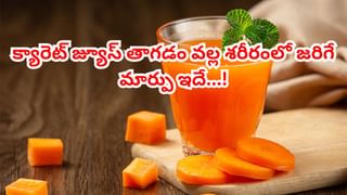 Sunflower Seeds: పోషకాల సిరులు.. సన్‌ఫ్లవర్ సీడ్స్ రోజూ తింటే ఈ సమస్యలన్నీ దూరం..!
