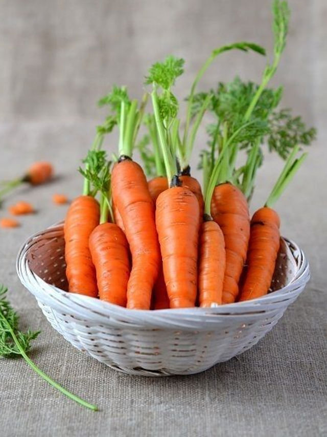 ప్రతి రోజూ క్యారెట్ తినడం వలన కలిగే లాభాలు ఇవే!