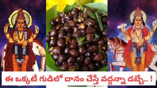 Own House Remedy: మీ సొంతింటి కల నిజం కావాలంటే… ఈ చిన్న పని చేయండి ఇంటి అప్పులు మాయం!
