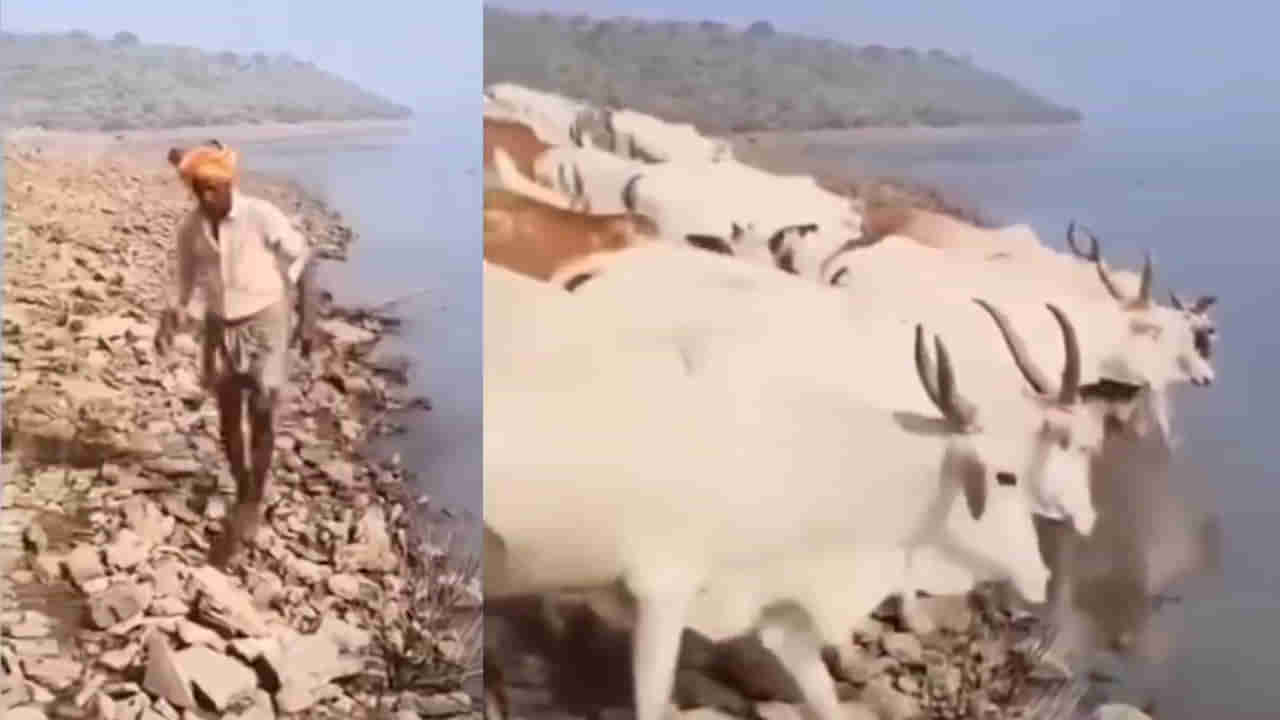 Krishna river: రోడ్డు మార్గం గుండా అయితే 150 కిలోమీటర్లు.. అదే నది గుండా అయితే 2కిమీ.. అందుకే