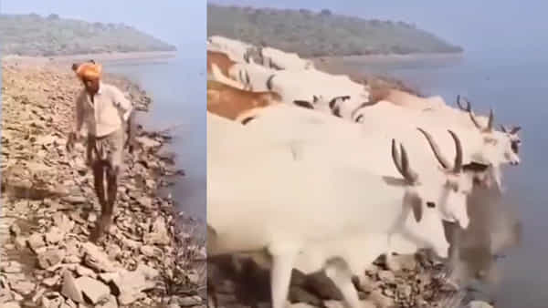 Krishna river: రోడ్డు మార్గం గుండా అయితే 150 కిలోమీటర్లు.. అదే నది గుండా అయితే 2కిమీ.. అందుకే