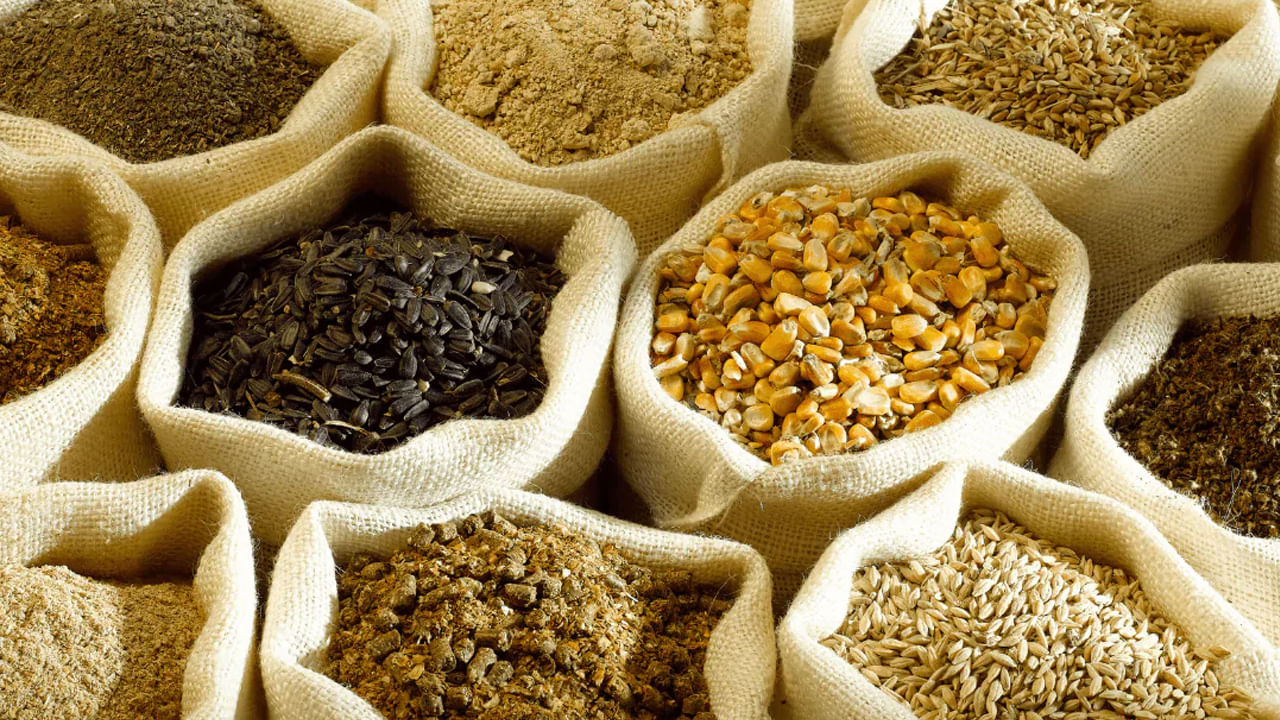 తృణధాన్యాలు, తృణధాన్యాలు, చిక్కుళ్ళు, ఆకుకూరలు, టమోటా, బ్రోకలీ, క్యారెట్, బెర్రీలు, ఆమ్లా, నారింజ, జామ, ఆపిల్, జామున్, అరటి, సలాడ్, అదనపు పచ్చి ఆలివ్ నూనె, వంట ఆలివ్ నూనె, ఆవాల నూనె, నువ్వుల నూనె, వేరుశనగ నూనె, బాదం, వాల్‌నట్స్, అవిసె గింజలు, నువ్వులు, గుమ్మడికాయ, పుచ్చకాయ, కొవ్వు చేపలు, గుడ్లు, సుగంధ ద్రవ్యాలు వంటి ఆహారాలు మెదడులోని నాడీ నెట్‌వర్క్‌ను నిర్వహించడానికి సహాయపడతాయి.