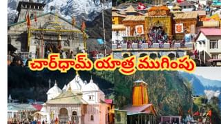 Vastu Tips: ఇంట్లో ఈ పూల మొక్కను నాటితే.. కోటీశ్వరుడు అవ్వడం ఖాయం..! కనక వర్షం కురుస్తుంది..