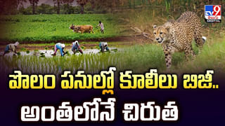 తెలంగాణలో రాకాసి ఏనుగు శిలాజం.. బిర్లా సైన్స్‌ మ్యూజియంలో ప్రదర్శన