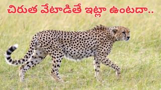 Expensive sweet: ఏండీ.. దీపావళి పండక్కి ఈ స్వీట్ కొంటారా..? కేజీ లక్షా 11 వేలు