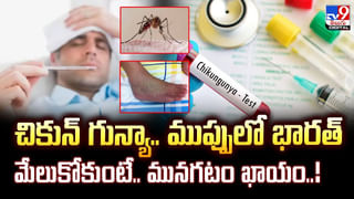 బంగాళాదుంప తొక్కలు పడేయకండి.. లాభాలు తెలిస్తే వదలరు!