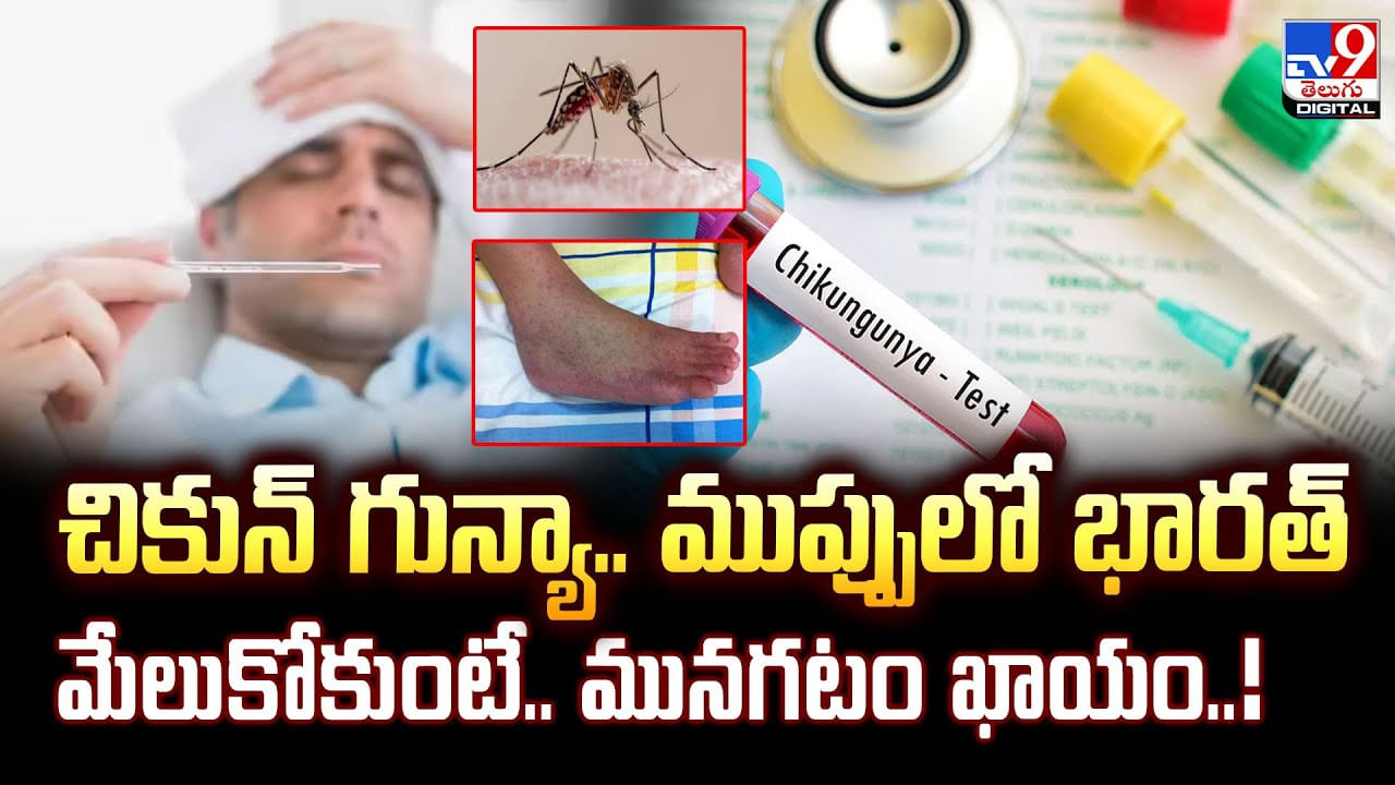 చికున్‌ గున్యా.. ముప్పులో భారత్ !! మేలుకోకుంటే.. మునగటం ఖాయం