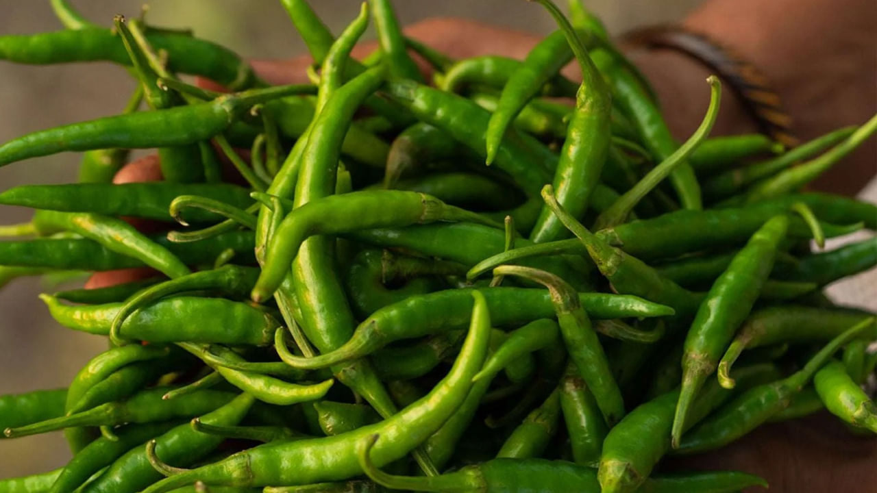 జిప్‌లాక్ కవర్: మీరు కొన్న తర్వాత ఒక నెల వరకు పచ్చి మిరపకాయలను తాజాగా ఉంచుకోవాలనుకుంటే మిరపకాయలను బాగా కడిగి, శుభ్రం చేసి, ఆరబెట్టి, రిఫ్రిజిరేటర్‌లోని కూరగాయల ట్రేలో జిప్‌లాక్ బ్యాగ్‌లో నిల్వ చేయండి. ఇలా నిల్వ చేసినప్పుడు, మిరపకాయలు దాదాపు ఒక నెల వరకు చెడిపోవు. మీరు వాటిని జిప్‌లాక్ బ్యాగ్‌లో ఉంచి లాక్ చేసినప్పుడు, అవి గాలి లేకుండా ఎక్కువ కాలం చెడిపోవు. 