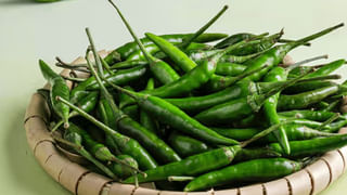 తిన్న వెంటనే కడుపు ఉబ్బరమా? ఈ పండ్లలో ఏదోకటి తింటే.. సమస్య హాంఫట్..