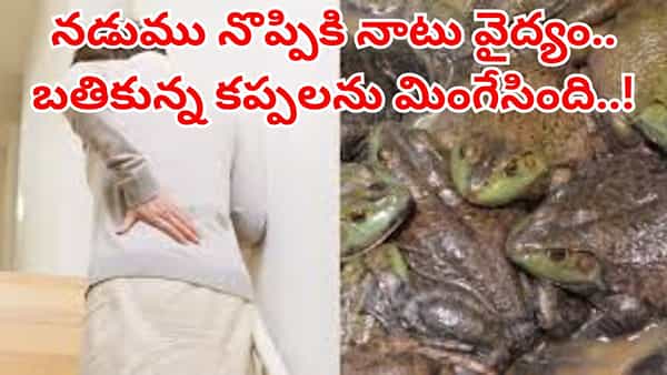 Viral News: ఓరీ దేవుడో.. వీళ్లు మారరు... వైద్యం పేరుతో బతికున్న కప్పలను మింగేసిన వృద్ధురాలు..చివరకు..