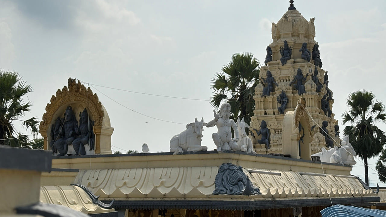 ఈ క్షేత్రం మరొక విశిష్టత ఏమిటంటే.. మన దేశంలో ద్వాదశ జ్యోతిర్లింగాలు ఉన్న ప్రాంతాల్లో శివయ్య స్వయంగా ఉద్భవించాడో.. అదే రూపంలో ఈ క్షేత్రంలో12 జ్యోతిర్లింగాలు దర్శనమిస్తాయి. అంతేకాదు ఒకే లింగం మీద సహస్ర లింగాలు దర్శనం ఇస్తాయి. ఒకే లింగంపై మొత్తం 1007 లింగాలు అంటే ప్రధాన లింగంతో కలిపి మొత్తం 1008 లింగాలు ఉన్నాయి.