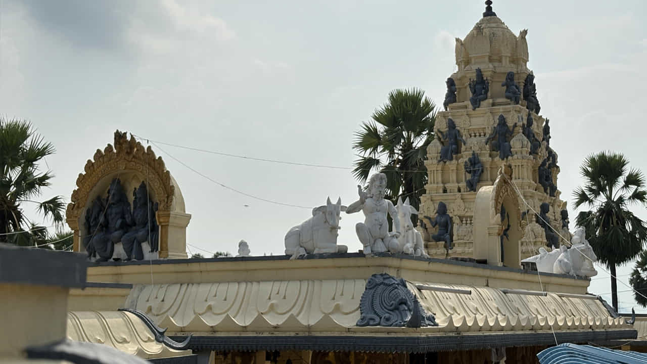 ఈ క్షేత్రం మరొక విశిష్టత ఏమిటంటే.. మన దేశంలో ద్వాదశ జ్యోతిర్లింగాలు ఉన్న ప్రాంతాల్లో శివయ్య స్వయంగా ఉద్భవించాడో.. అదే రూపంలో ఈ క్షేత్రంలో12 జ్యోతిర్లింగాలు దర్శనమిస్తాయి. అంతేకాదు ఒకే లింగం మీద సహస్ర లింగాలు దర్శనం ఇస్తాయి. ఒకే లింగంపై మొత్తం 1007 లింగాలు అంటే ప్రధాన లింగంతో కలిపి మొత్తం 1008 లింగాలు ఉన్నాయి. 
