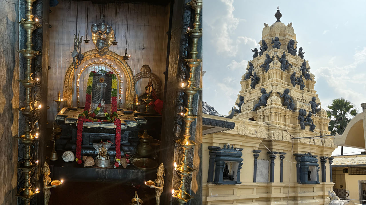 ప్రముఖ ఆధ్యాత్మిక పుణ్యక్షేత్రం భద్రాచలం లోని పర్ణ శాల మార్గంలోని నర్సాపురం గ్రామంలోని శ్రీ రమణ ఆశ్రమంలో ఉంది ఈ ద్వాదశ జ్యోతిర్లింగ క్షేత్రం. ఇది చిన్న అరుణాచలంగా ప్రసిద్ధిగాంచింది. అరుణాచలంలో ఎలా గిరి ప్రదక్షిణ మార్గంలో ఉన్న అష్టలింగాలను ఇక్కడ దర్శనం చేసుకోవచ్చు