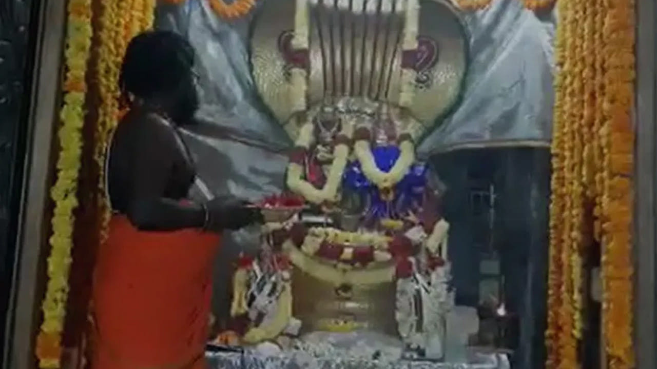 సహస్ర లింగ దర్శనం ప్రముఖ ఆధ్యాత్మిక శైవ క్షేత్రాలైన కాశి క్షేత్రం, శ్రీశైలం, అరుణాచలం, కంచి వంటి పుణ్యక్షేత్రాల్లో మాత్రమే జరుగుతుంది. స్పటిక లింగం పాన లింగం, మరకత లింగం వంటి లింగాలు దర్శనం అవుతాయి. శ్రీ చక్ర జ్యోతిలింగం, పాదరస లింగం ఇలా వివిధ రూపాల్లో దర్శనం ఇస్తూ భక్తుల ప్రత్యేక ఆధ్యాత్మిక కేంద్రంగా విలసిల్లుతోంది.