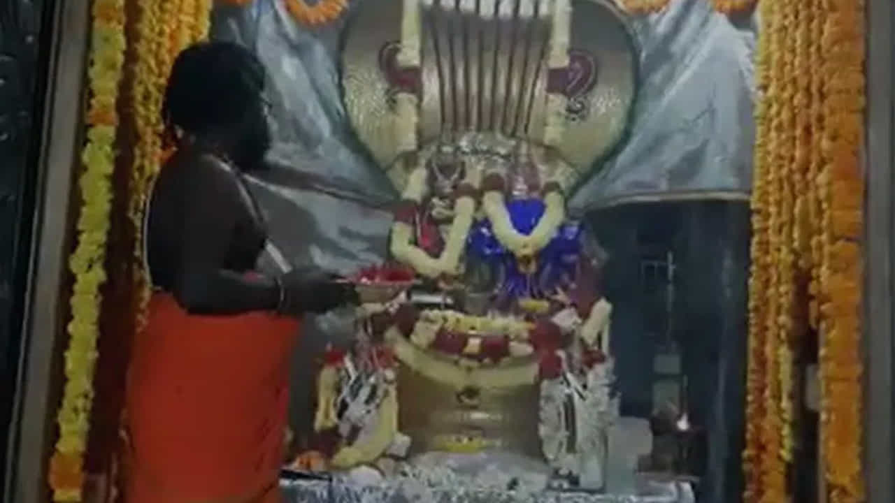 సహస్ర లింగ దర్శనం ప్రముఖ ఆధ్యాత్మిక శైవ క్షేత్రాలైన  కాశి క్షేత్రం, శ్రీశైలం, అరుణాచలం, కంచి వంటి పుణ్యక్షేత్రాల్లో మాత్రమే జరుగుతుంది. స్పటిక లింగం పాన లింగం, మరకత లింగం వంటి లింగాలు దర్శనం అవుతాయి. శ్రీ చక్ర జ్యోతిలింగం, పాదరస లింగం ఇలా వివిధ రూపాల్లో దర్శనం ఇస్తూ భక్తుల ప్రత్యేక ఆధ్యాత్మిక కేంద్రంగా విలసిల్లుతోంది. 
