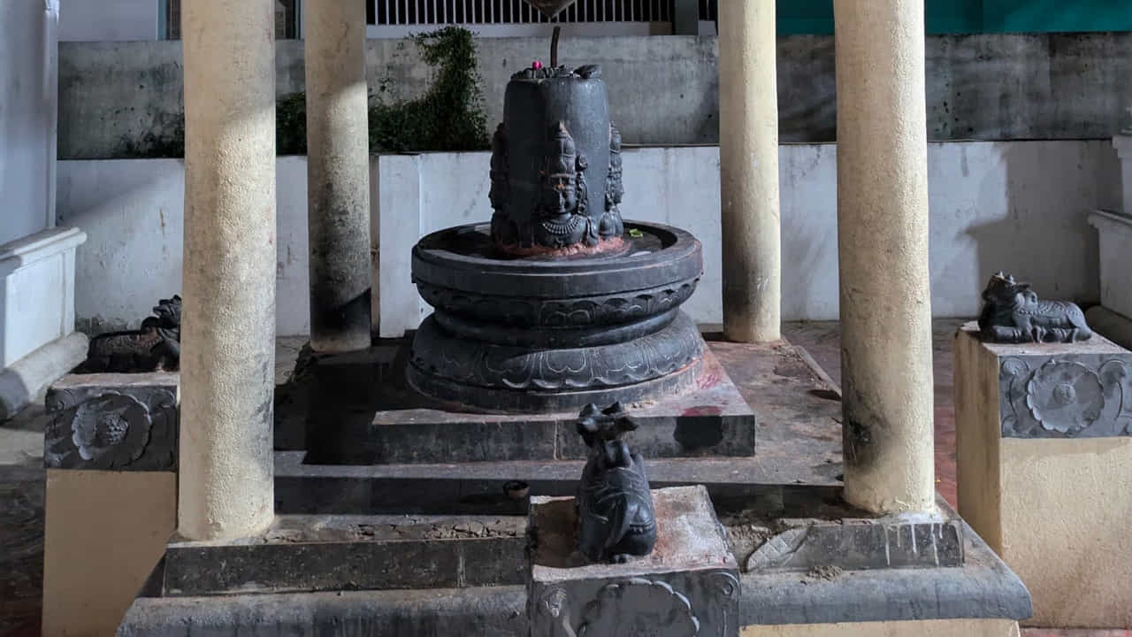 ప్రపంచంలో ఎక్కడా లేని విధంగా 1008 బ్రహ్మ సూత్రాల లింగాలను ఒకే సారి దర్శనం చేసుకునే భాగ్యం ఉంది. అంతేకాదు లింగాలు రామేశ్వరంలోని స్పటిక లింగం జ్యోతిర్లింగం ఏ విధంగా దర్శనమిస్తుందో.. అదే విధంగా ఇక్కడ స్ఫటిక జ్యోతిర్లింగం భక్తులకు దర్శనమిస్తుంది. అద్దాల మండపం ప్రత్యేక ఆకర్షణగా నిలుస్తుంది. 