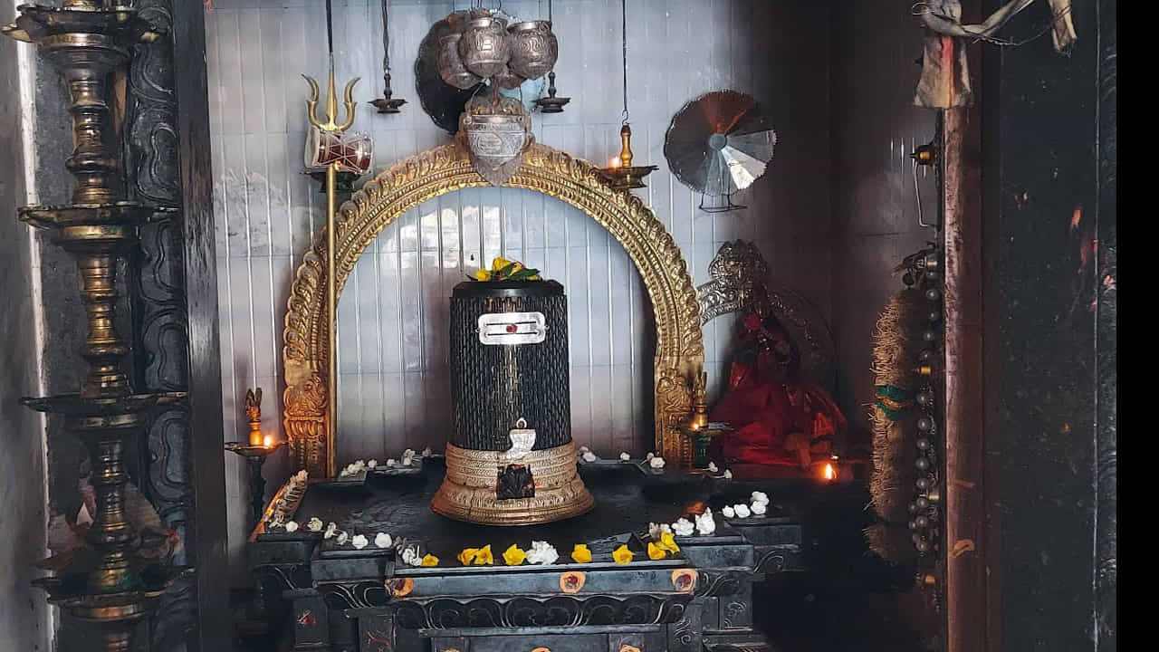 ఇంద్ర లింగం,అగ్ని లింగం, యమ లింగం, నిరృతి లింగం, వరుణ లింగం, వాయు లింగం, కుబేర లింగం, ఈశాన్య లింగాలను ఎలా దర్శనం చేసుకుంటామో అదే విధంగా ఇక్కడ కూడా ఈ అష్ట లింగాలను.. సహస్ర లింగాలతో పాటు వెలుగొందుతున్నాయి. భక్తులతో పూజలు అందుకుంటున్నాయి. 