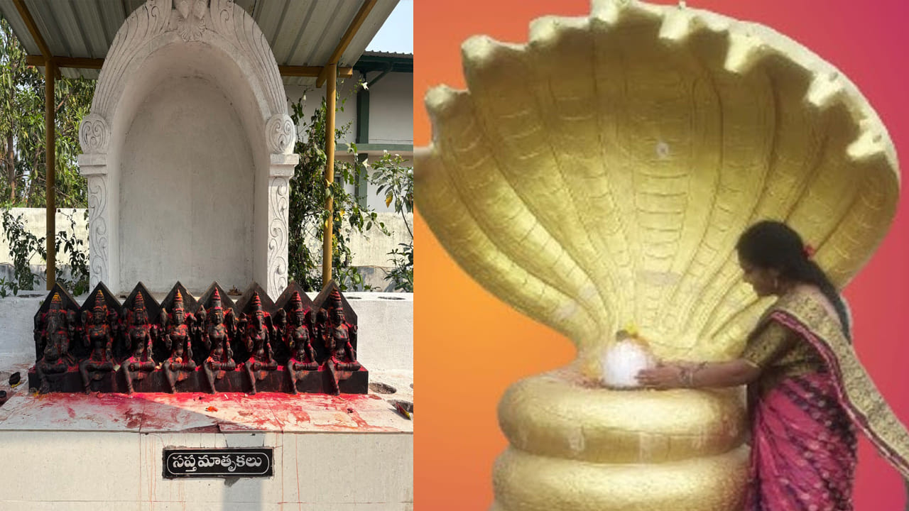 ఈ క్షేత్రం మరో విశిష్టత ఏమిటంటే 12 జ్యోతిర్లింగాలకు భక్తులు స్వయంగా అభిషేకాలు చేసుకునే అవకాశం ఉంది. అరుణాచల క్షేత్రానికి వెళ్ళలేని భక్తులు చిన్నఅరుణాచలం సందర్శిస్తే ఆ అనుభూతిని పొందవచ్చు అని అంటున్నారు.