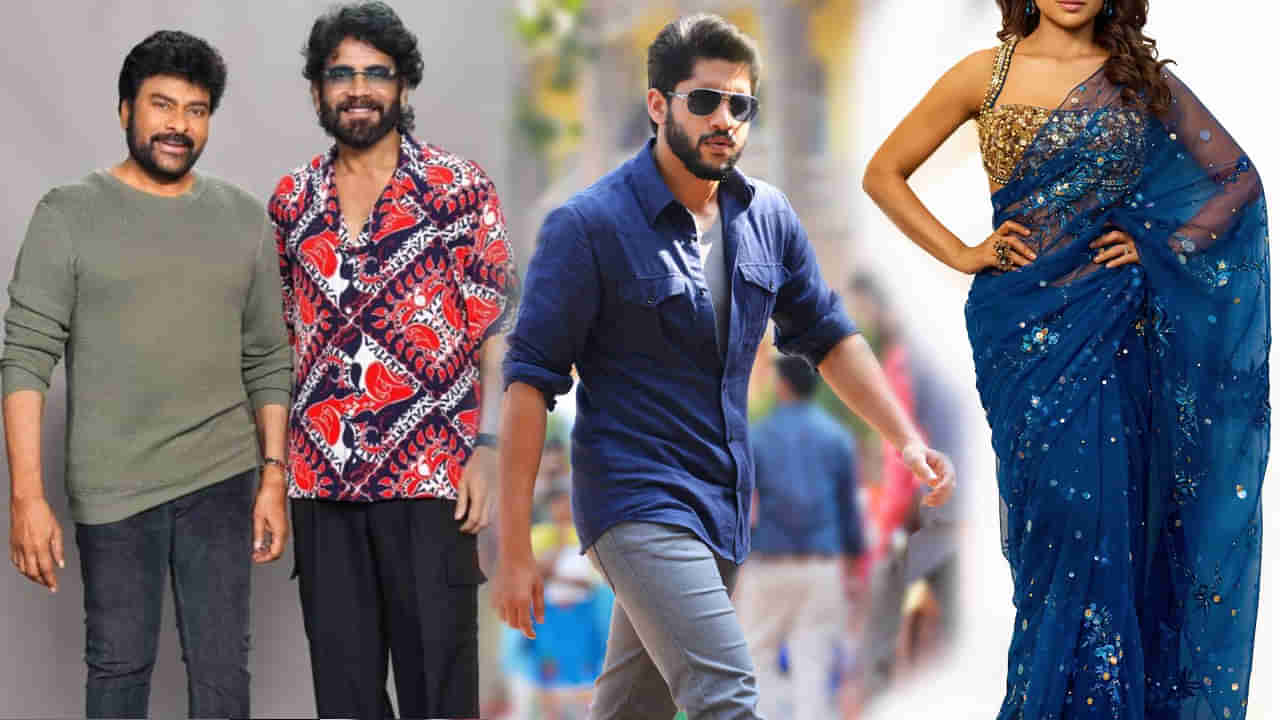 నాగార్జున, చిరంజీవి ప్రియురాలిగా.. నాగచైతన్యకు కోడలిగా.. 43 ఏళ్ల వయసులో అందం తగ్గని హీరోయిన్..