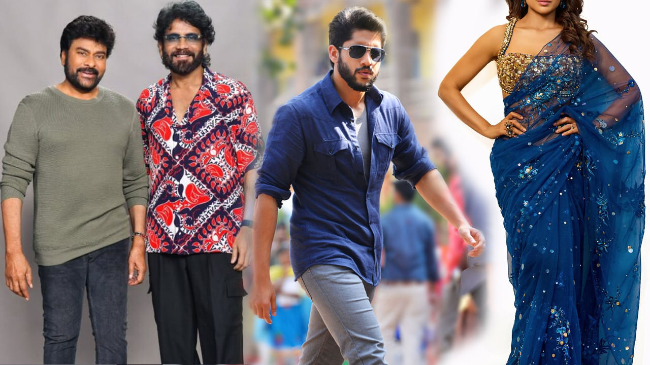 నాగార్జున, చిరంజీవి ప్రియురాలిగా.. నాగచైతన్యకు కోడలిగా.. 43 ఏళ్ల వయసులో అందం తగ్గని హీరోయిన్..