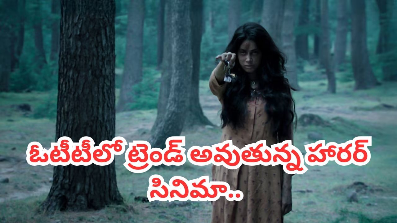 Cinema : బాక్సాఫీస్‏ను ఊపేసిన హారర్ సినిమాలు.. ఇప్పుడు ఓటీటీలో దూసుకుపోతున్న ఈ మూవీస్ చూశారా.. ?
