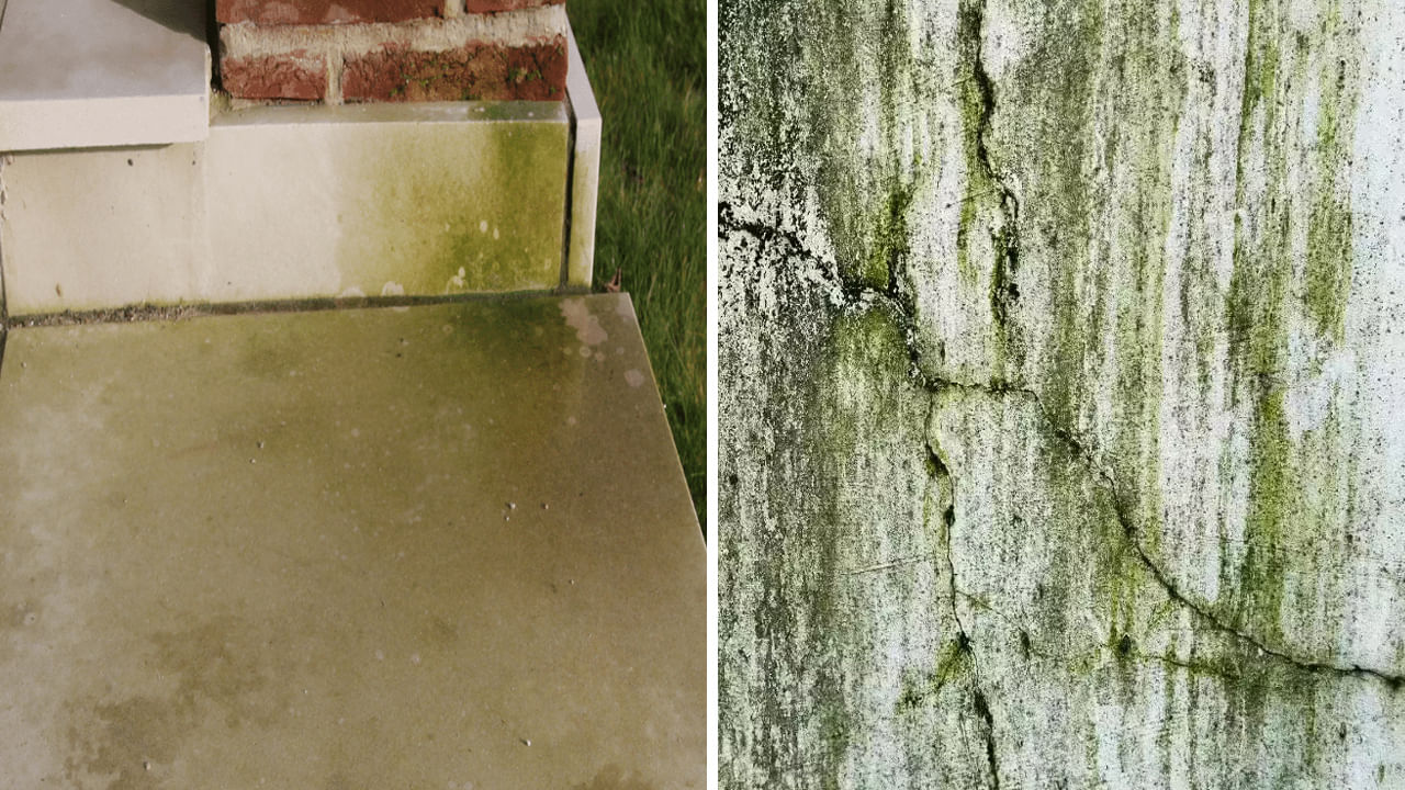 Cleaning Hacks: ఇంటి నేలపై, గోడలకు నాచు పట్టేసిందా.. ఈ సింపుల్ టిప్స్‌తో ఈజీగా శుభ్రం చేసుకోండి..