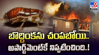 సముద్ర తీరంలో భారీ కళేబరం.. దగ్గరికెళ్లి చూస్తే