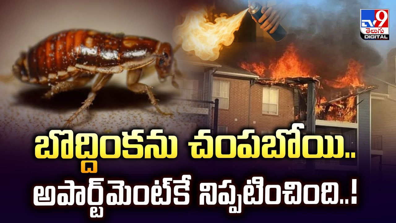 బొద్దింకను చంపబోయి.. అపార్ట్‌మెంట్‌కే నిప్పటించింది