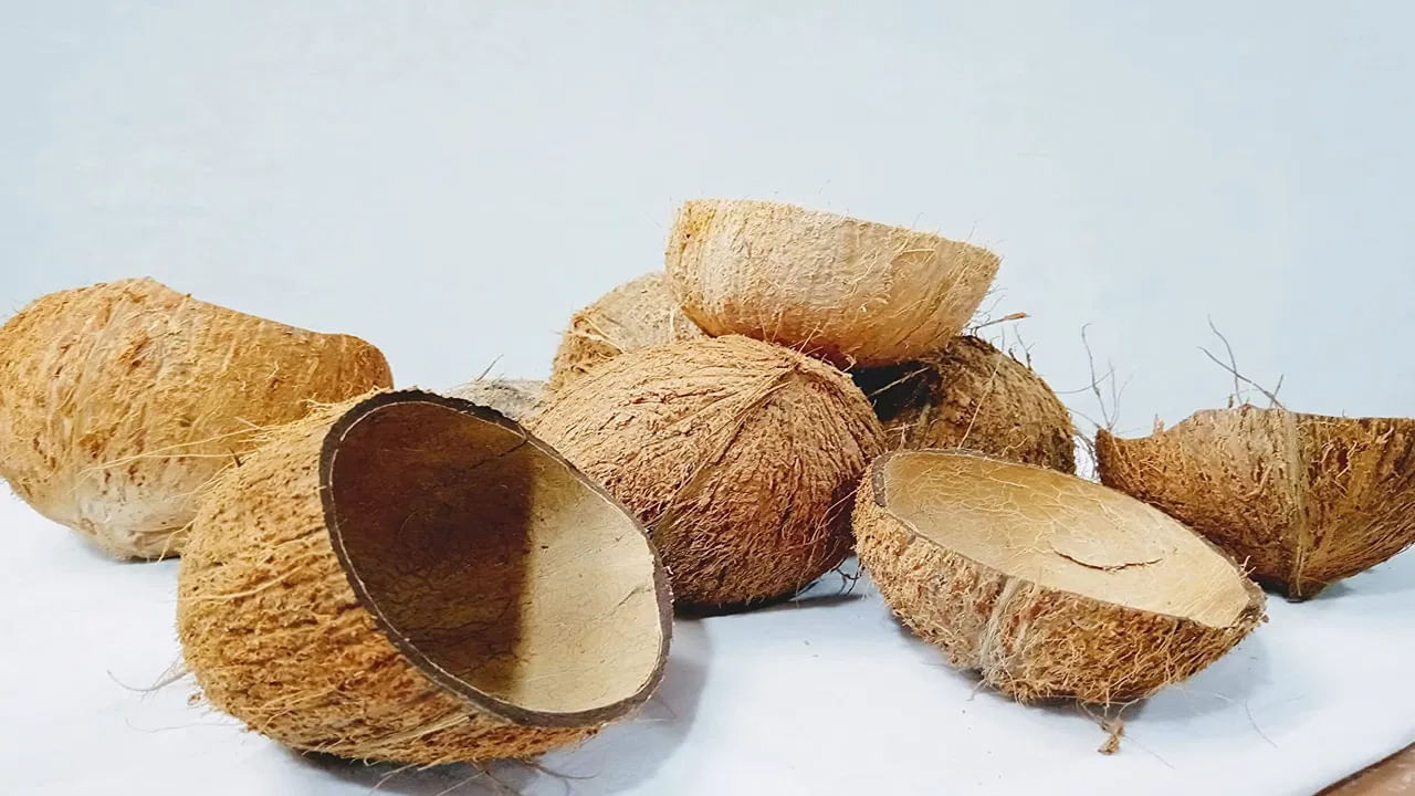 Coconut Shells