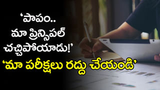 School Holidays 2025: స్కూళ్లకు వరుస సెలవులు ప్రకటించిన సర్కార్.. ఉత్తర్వులు జారీ! ఏయే తేదీల్లోనంటే..