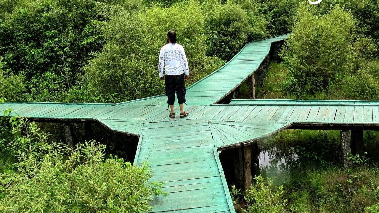 కొన్ని శతాబ్దాల క్రితం కొరింగా నుంచి ప్రారంభించి, స్థానిక చేపలు దక్షిణాసియా, తూర్పు ఆఫ్రికాకు ప్రయాణించారని చెబుతారు. జనవరి నుంచి మార్చి వరకు, ఆలివ్ రిడ్లీ సముద్ర తాబేళ్లు 18 కిలోమీటర్ల పొడవున్న ఇసుక మార్గంలో గుడ్లు పెడతాయి. కొరింగా వన్యప్రాణి అభయారణ్యం ప్రకృతి అందాలకు నిలయం.