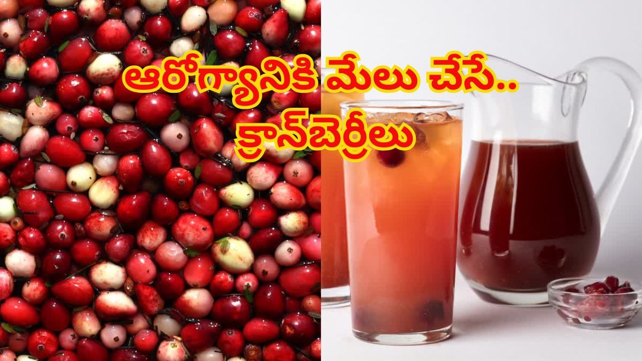 Cranberry: ఆరోగ్యానికి మేలు చేసే క్రాన్బెర్రీలు.. ఎక్కడ కనిపించినా వదలకండి..! బెనిఫిట్స్ తెలిస్తే..