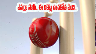 IND vs AUS 1st T20I: తొలి టీ20ఐకి ముందే సూర్యకు వార్నింగ్ ఇచ్చిన ఆసీస్ కెప్టెన్.. ఏమన్నాడంటే.?