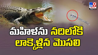 గాజుల షాపులో నాగుపాము.. కస్టమర్ల పరుగో పరుగు