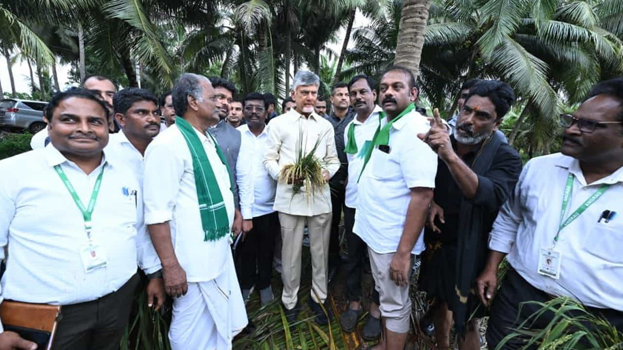   ఈ సందర్భంగా సీఎం మాట్లాడుతూ వర్షాల కారంణంగా ధ్వంసమైన విద్యుత్‌ను యుద్ధ ప్రతిపాదికన పునరుద్ధరించాంమని తెలిపారు. ఈదురు గాలుల వల్ల భారీ నష్టం వాటిల్లిందని.. కొన్ని జిల్లాల్లో వరి, వాణిజ్య పంటలు దెబ్బతిన్నాయన్నారు. ముందస్తు చర్యల కారణంగానే తుఫాన్‌ను సమర్థంగా ఎదుర్కొన్నామని తెలిపారు. 