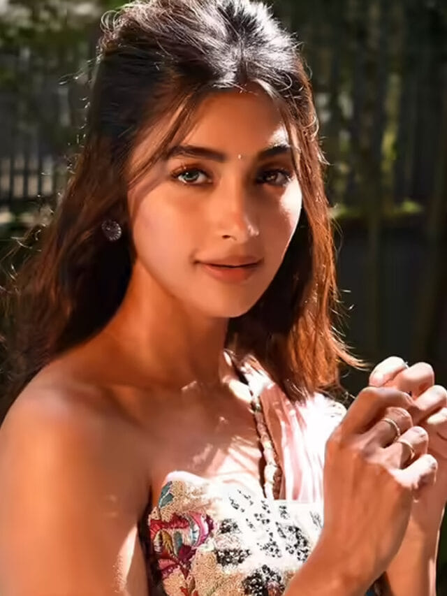 బుట్టబొమ్మ తగ్గట్లేదుగా.. పూజా ఆస్తులు, లగ్జరీ లైఫ్ స్టైల్ తెలిస్తే.