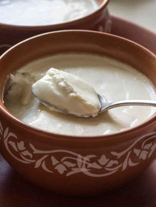 చలికాలంలో పెరుగు తినవచ్చా?