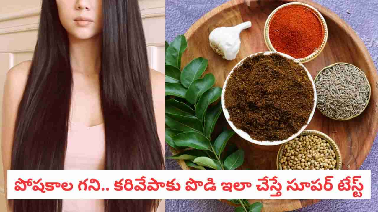 Karivepaku Podi: పొడవాటి, నల్లటి జుట్టు మీ సొంతం.. టేస్టీ కరివేపాకు పొడిని ఇలా తయారుచేయండి..