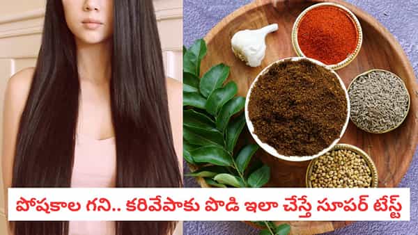 Karivepaku Podi: పొడవాటి, నల్లటి జుట్టు మీ సొంతం.. టేస్టీ కరివేపాకు పొడిని ఇలా తయారుచేయండి..