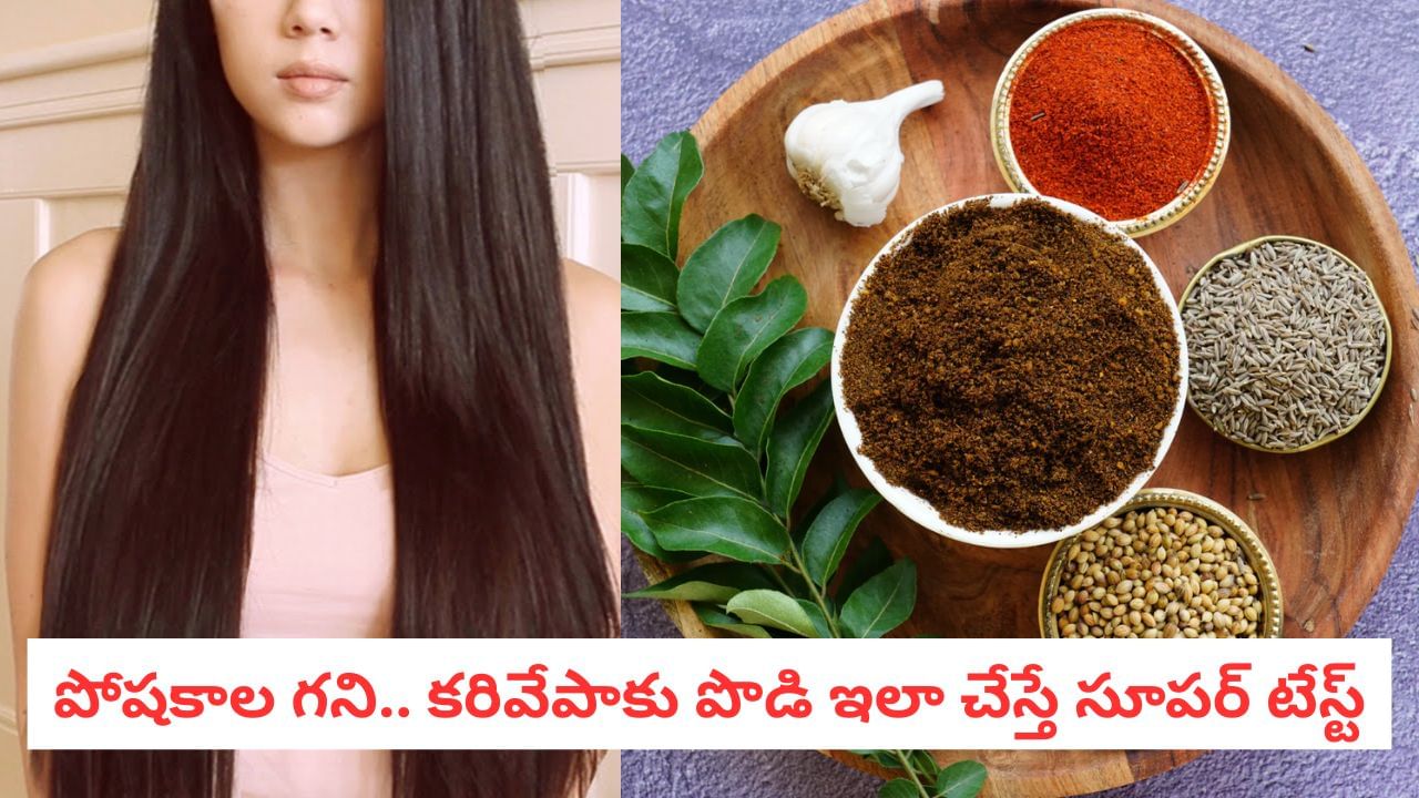 Karivepaku Podi: పొడవాటి, నల్లటి జుట్టు మీ సొంతం.. టేస్టీ కరివేపాకు పొడిని ఇలా తయారుచేయండి..